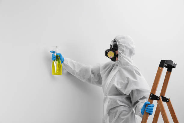 Professional Mold Removal in Sleepy Eye, MN